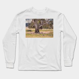 Dozing sheep and River Red Gum, Myrtle Creek, Victoria Long Sleeve T-Shirt